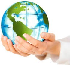 z-overseas Environment Policy